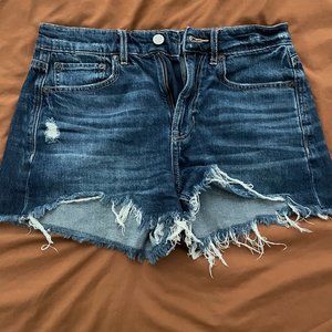 AE Denim Shorts